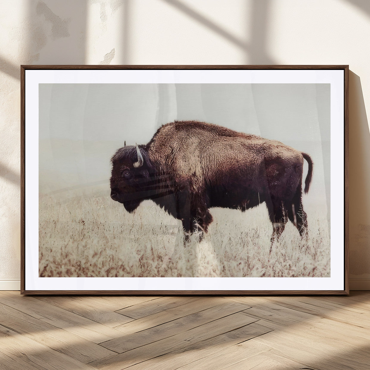 MGC-FP-36x24 - Bison in Field Wall Art Canvas Print For Farmhouse Barn Decor