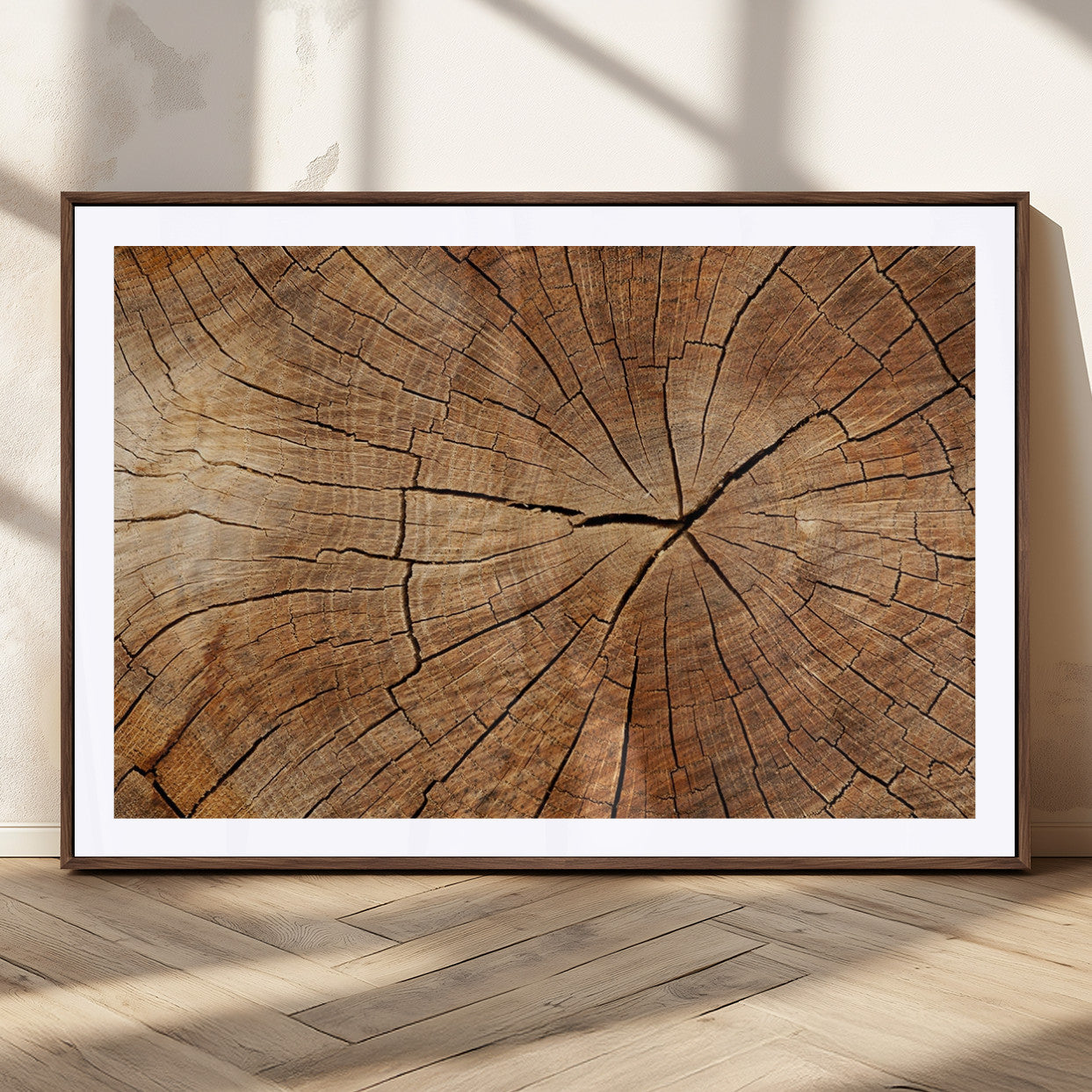 MGC-FP-36x24 - Tree Ring Canvas Art, Rustic Wood Grain Wall Art, Tree Slice Decor for Modern Homes, Giclee