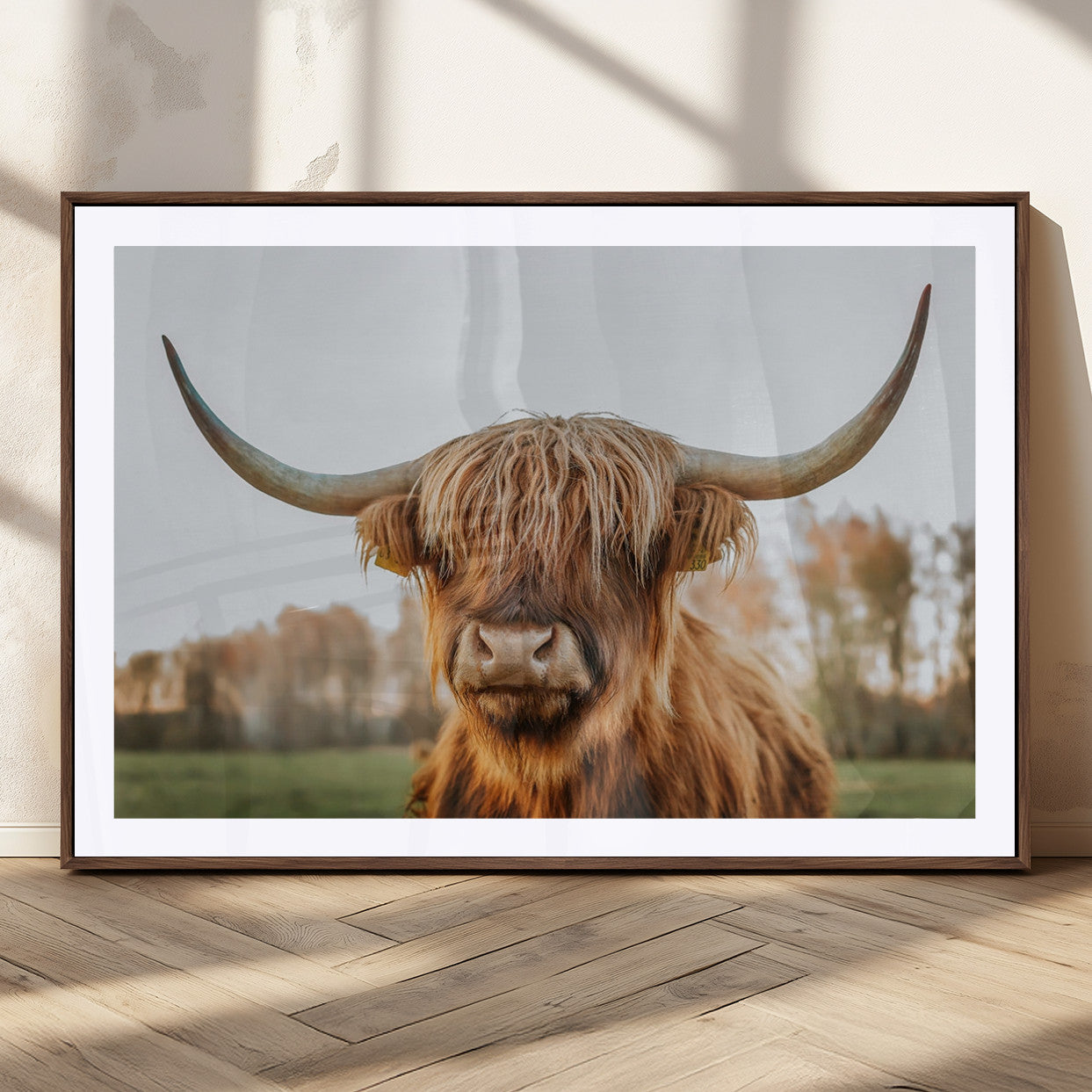 MGC-FP-36x24 - Highland Cow Animal Scottish Cattle Art Print Farmhouse Wall Art Canvas Print
