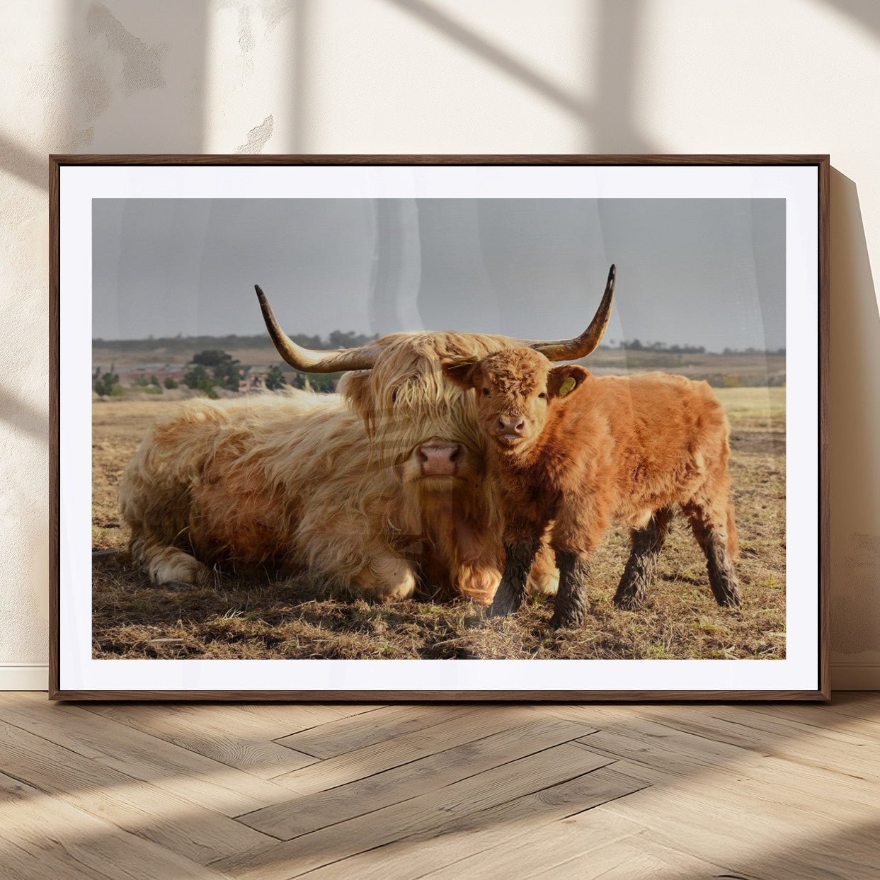MGC-FP-36x24 - Highland Cow Canvas Wall Art Animal Print for Farm House Decor