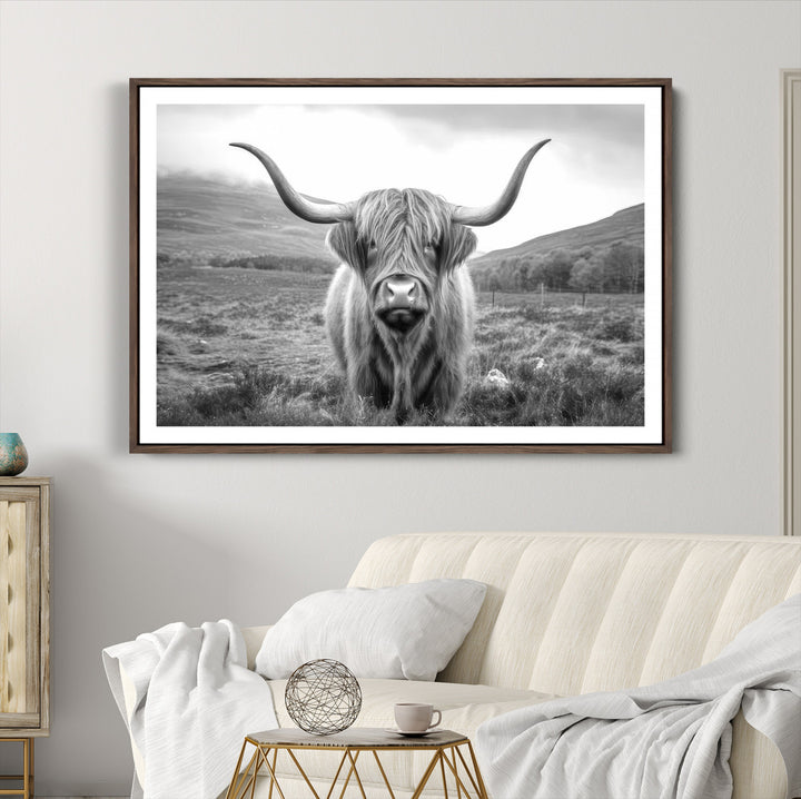 Black White Scottish Highland Cow Canvas Farm Wall Art Canvas Print