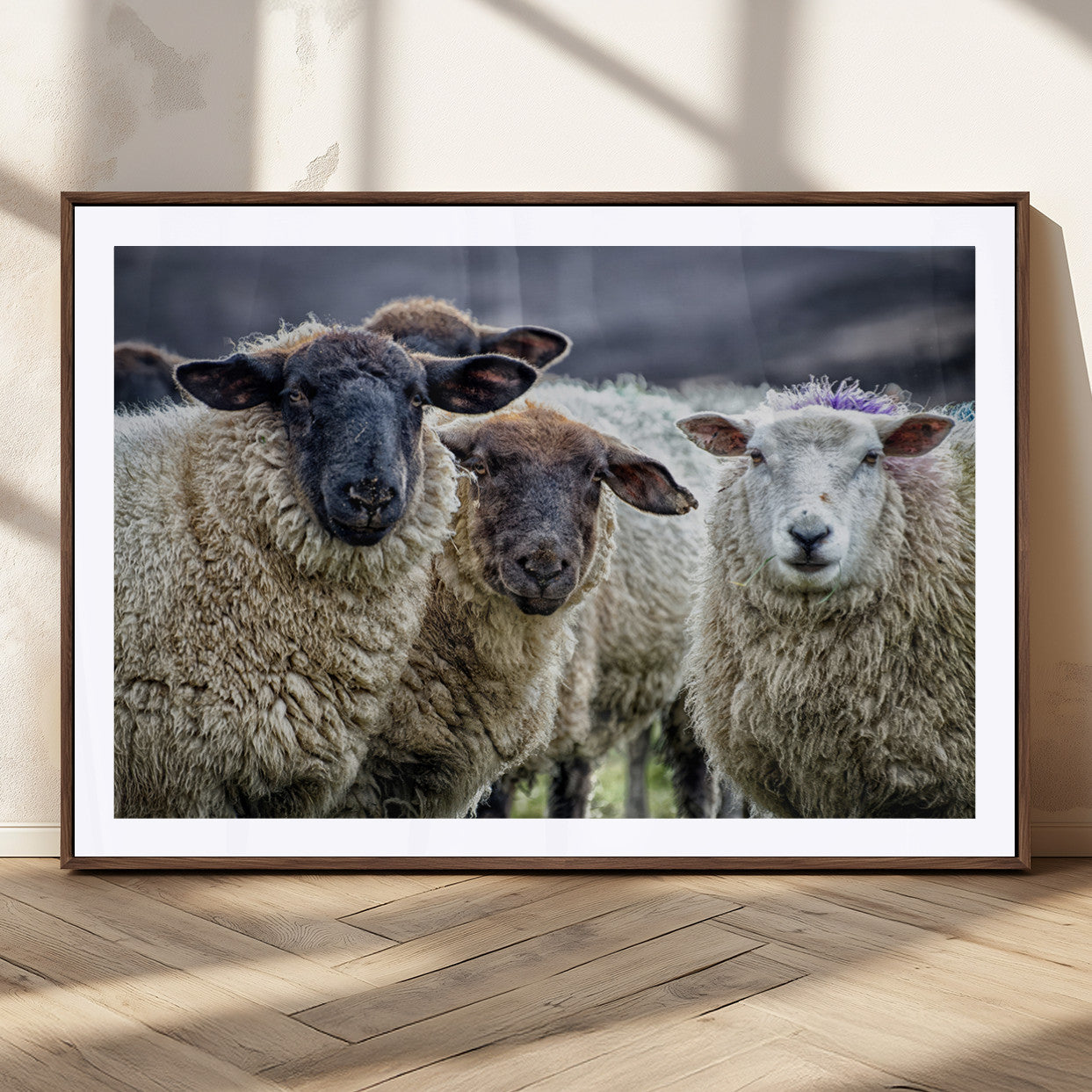 18418-MGC-FP-36x24_Walnut-Charming Sheep Portrait Wall Art – Trio of Woolly Companions Canvas Print, Framed, Ready to Hang