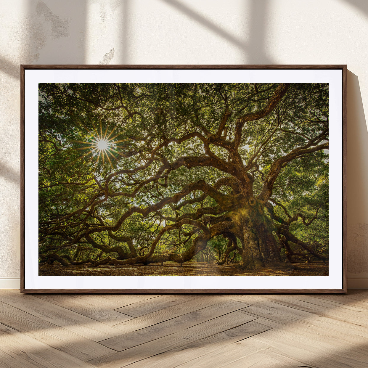 MGC-FP-36x24 - Ancient Angel Oak Tree Art Sunburst Canvas Print- Nature-Inspired Triptych Canvas Print, Framed,