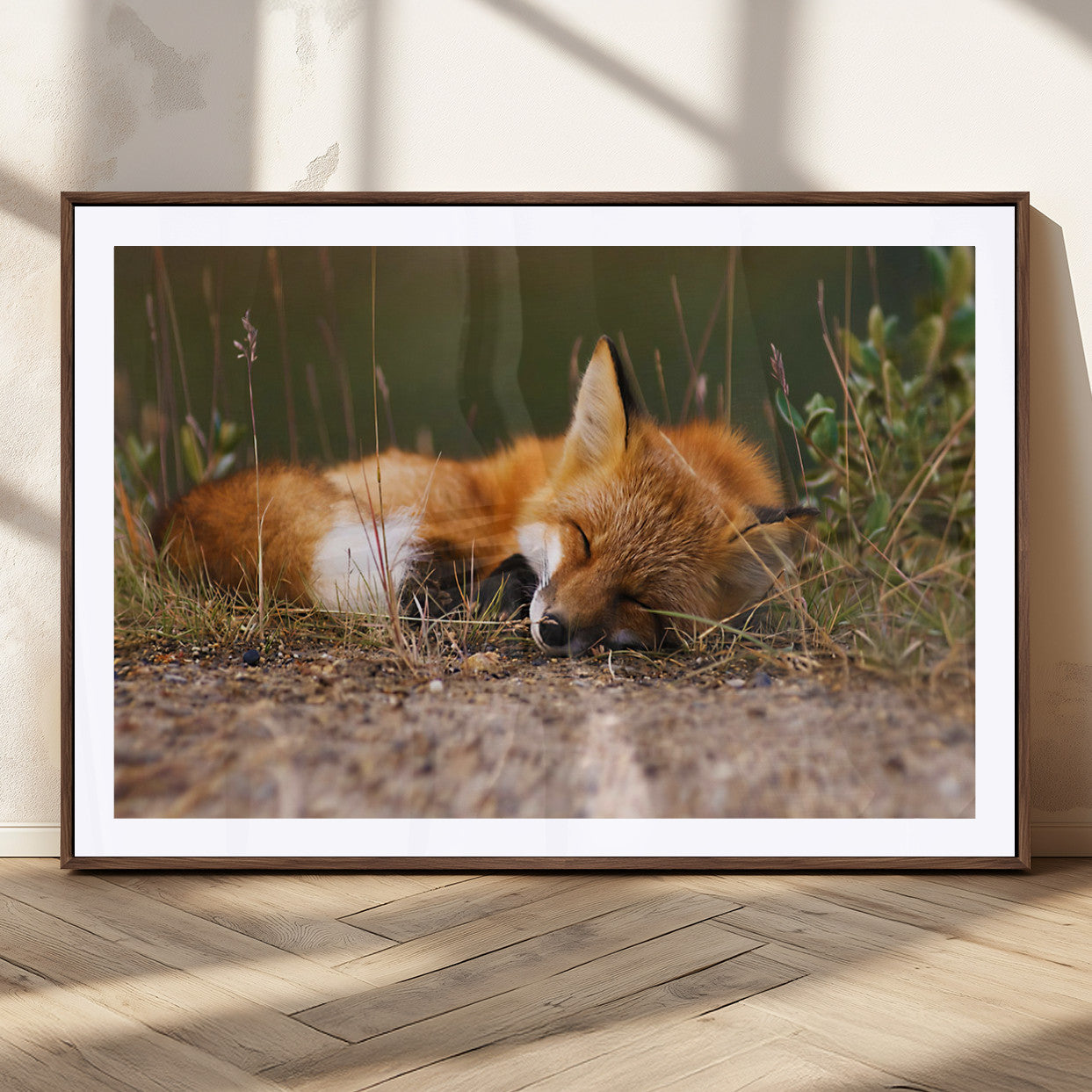 25085-MGC-FP-36x24_Walnut-Sleeping Fox Wall Art Canvas Print, Farmhouse Wall Decor and Animal Wall Art Print