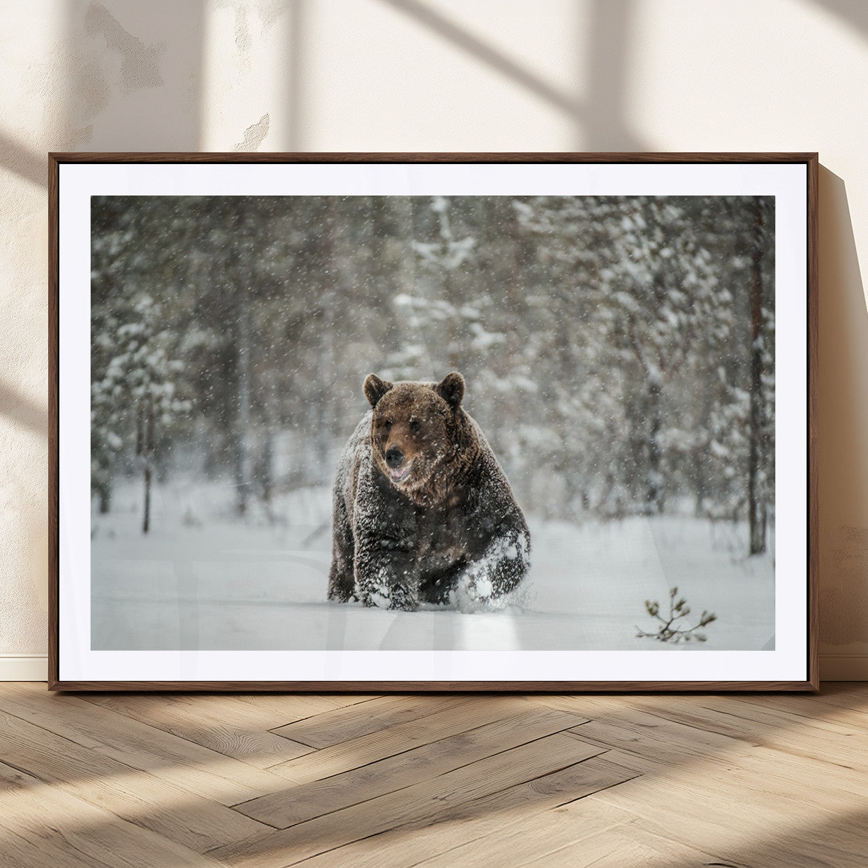 MGC-FP-36x24 - Wall Art Canvas Print – Grizzly Bear in Snowy Forest Powerful Presence Snowy Wilderness Wild Beauty