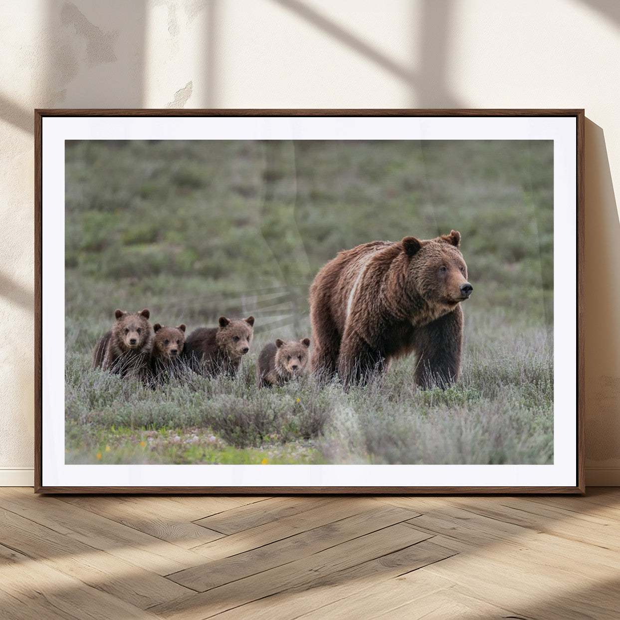 MGC-FP-36x24 - Wildlife Photography of 399 Grizzly Bear Cubs | Queen of the Tetons Canvas Wall Art Print