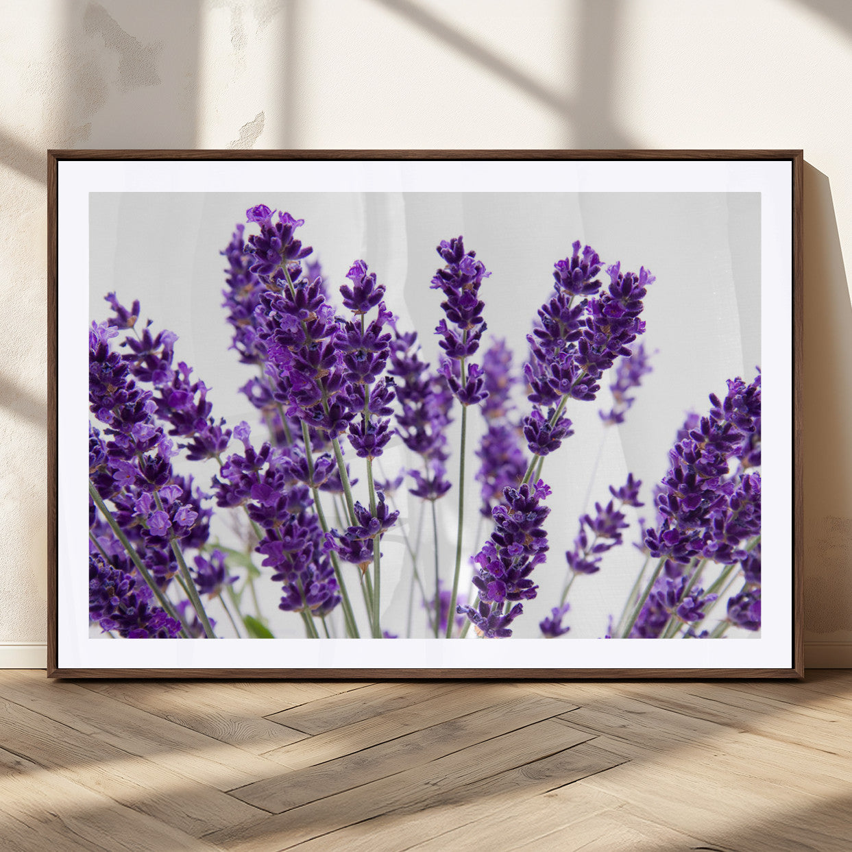 MGC-FP-36x24 - Lavender Flower Wall Art Canvas Print