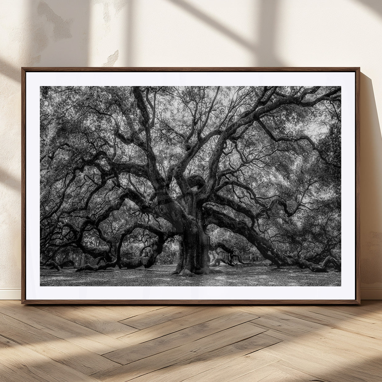 MGC-FP-36x24 - Black and White Old Angel Oak Tree Wall Art Canvas Print