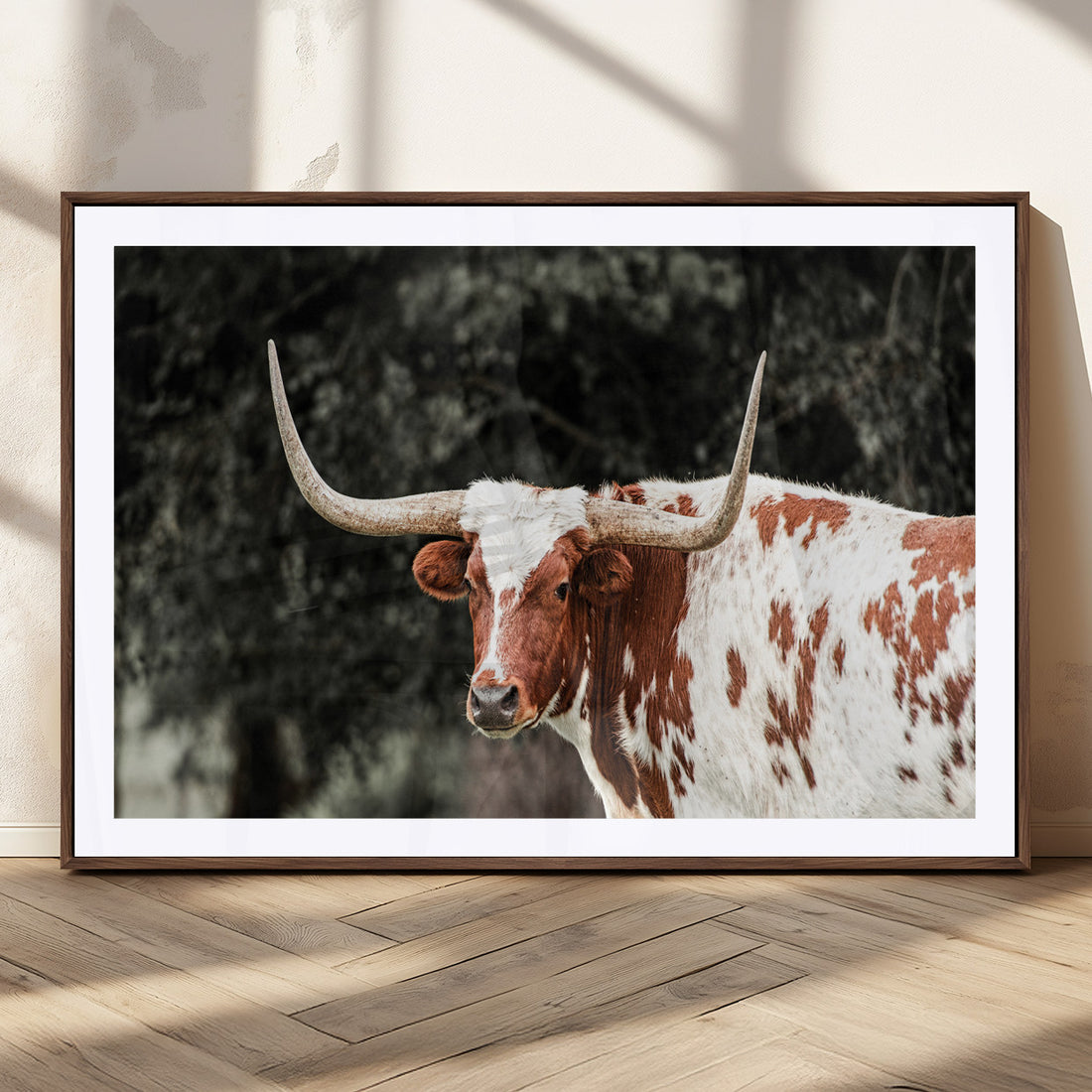 Texas Longhorn Wall Art Canvas Print | Framed Spotted Longhorn with Bold Horns