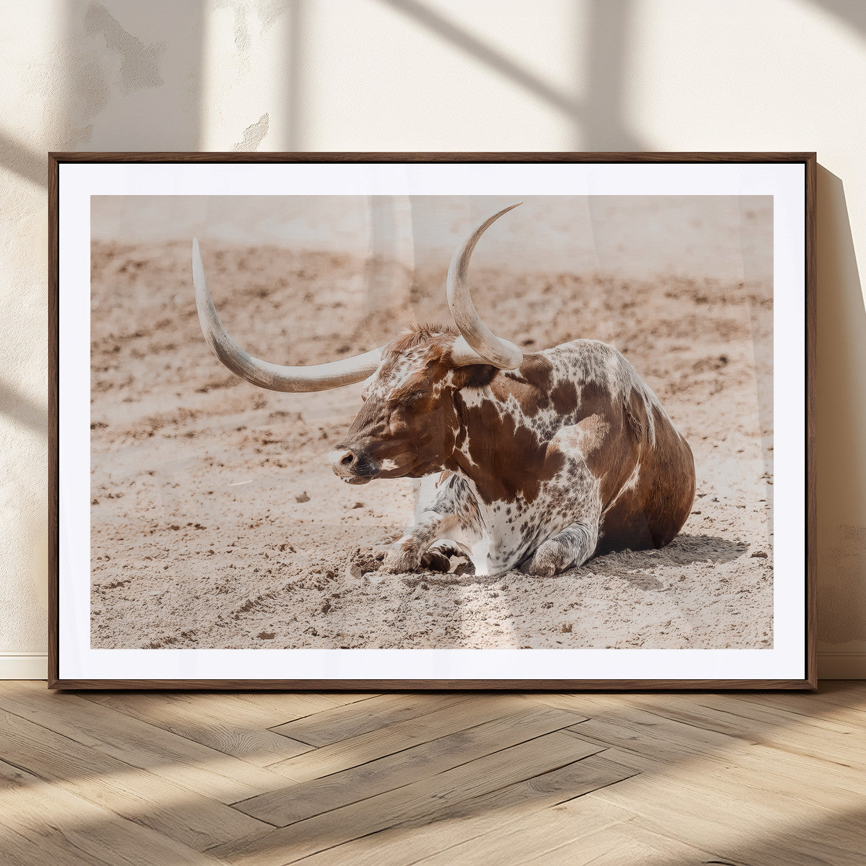 Texas Longhorn bull resting on dusty ground with warm tones, ideal for rustic western or farmhouse-themed wall decor.