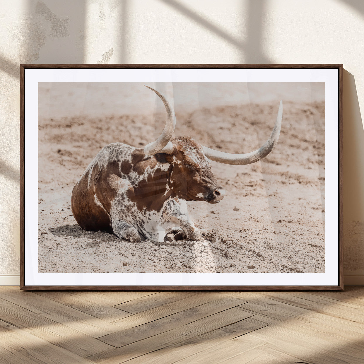 Texas Longhorn bull resting on dusty ground with warm tones, ideal for rustic western or farmhouse-themed wall decor.