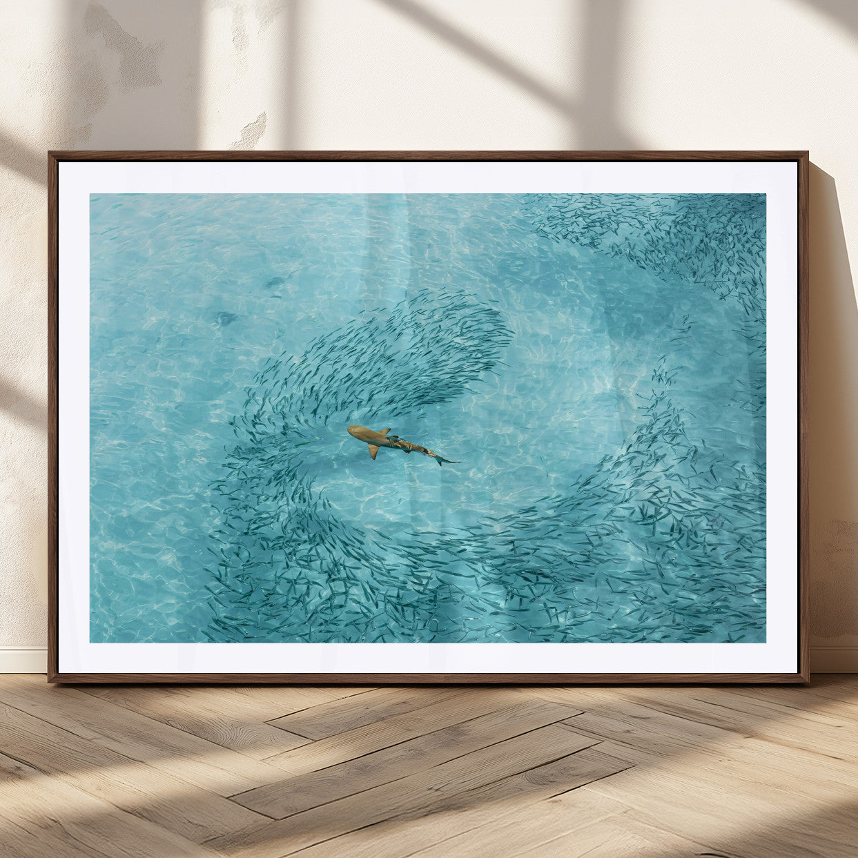 Aerial view of a shark swimming through a swirl of fish in clear turquoise waters, perfect for calm coastal or beach house decor.
