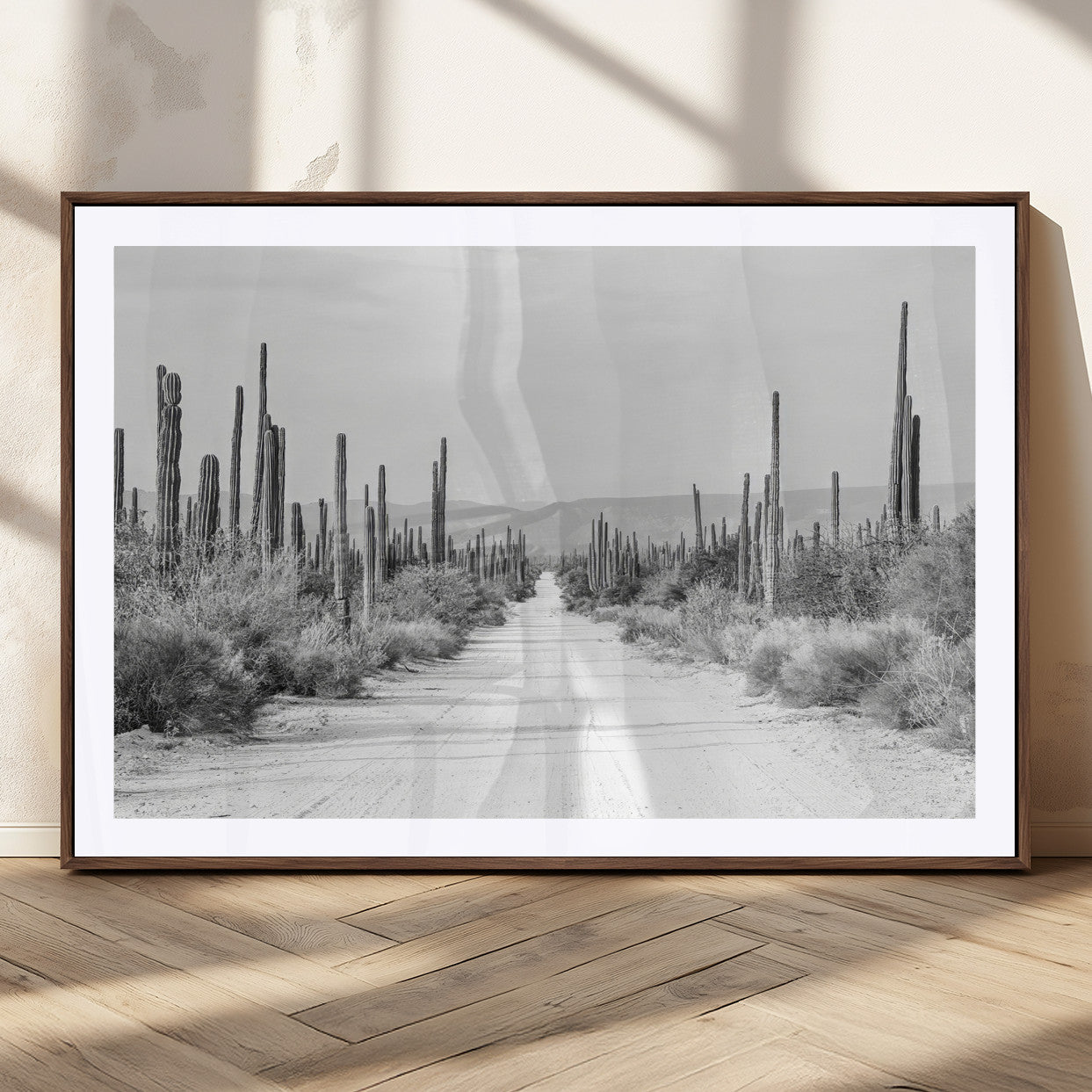 A black and white desert road stretching through a cactus-filled landscape, creating a rugged and timeless southwestern aesthetic with a sense of adventure.