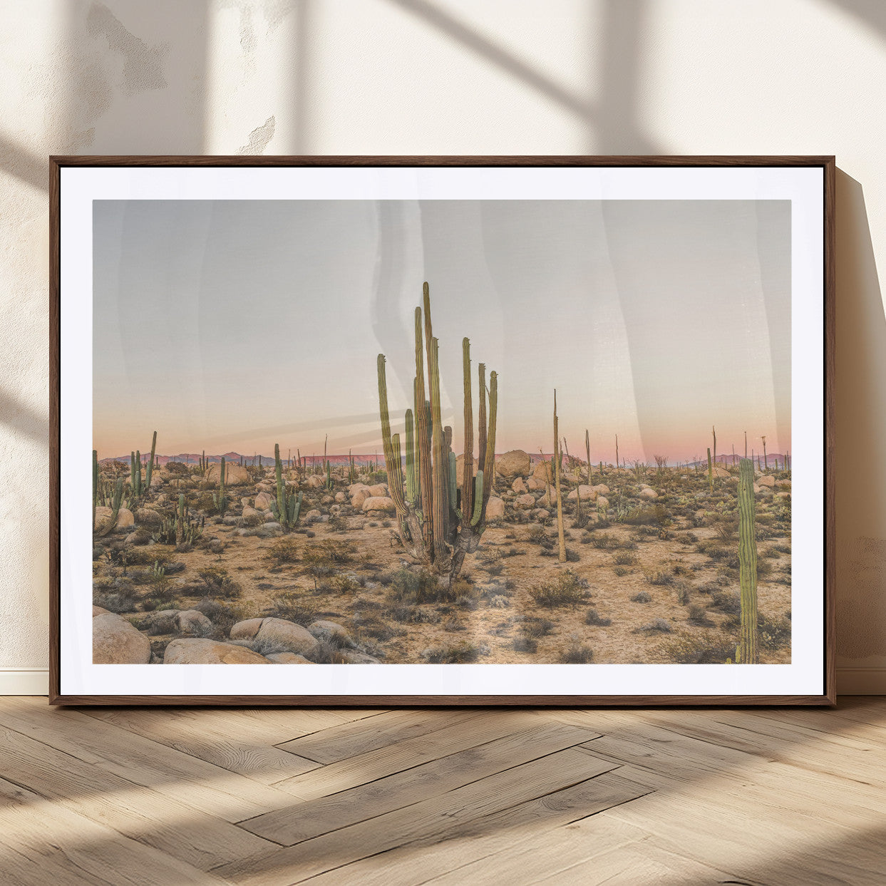 Canvas of tall desert cacti in warm sunset tones over a rocky Baja landscape, ideal for earthy or Southwestern-style home decor.