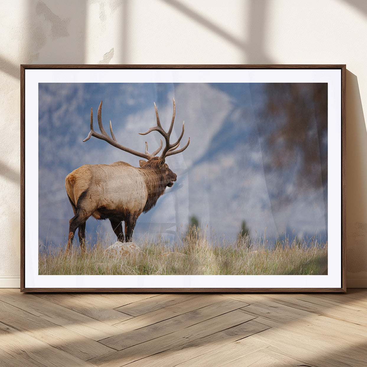 Elk with antlers standing on grass with mountain background, ideal for rustic, cabin, or lodge-inspired wall decor.
