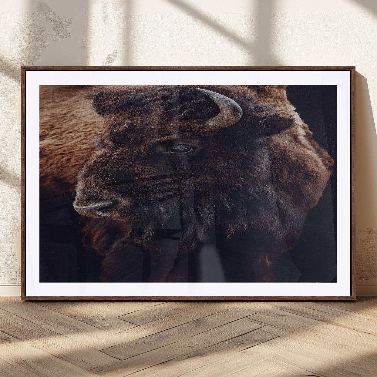 Close-up portrait of a bison with dark fur on a black background, perfect for rustic, lodge, or Western-style interior wall decor.