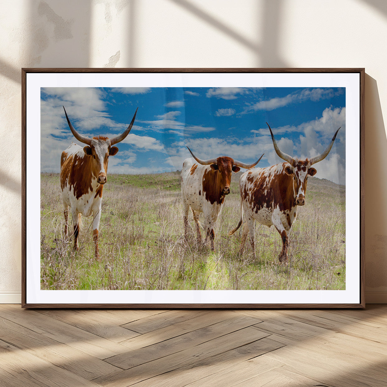 Three Texas longhorn cattle standing in dry grass under a bright blue sky, ideal for farmhouse or western rustic home decor.