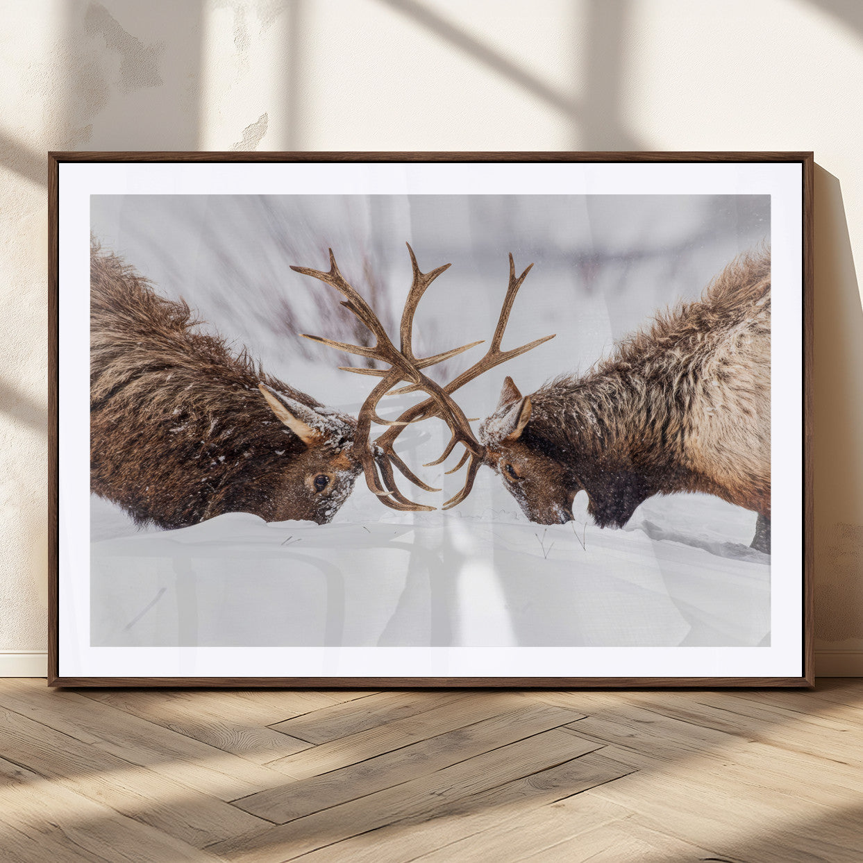 Two elk clashing antlers in a snowy forest, capturing raw power and wild energy, ideal for rustic cabin or lodge-style decor.