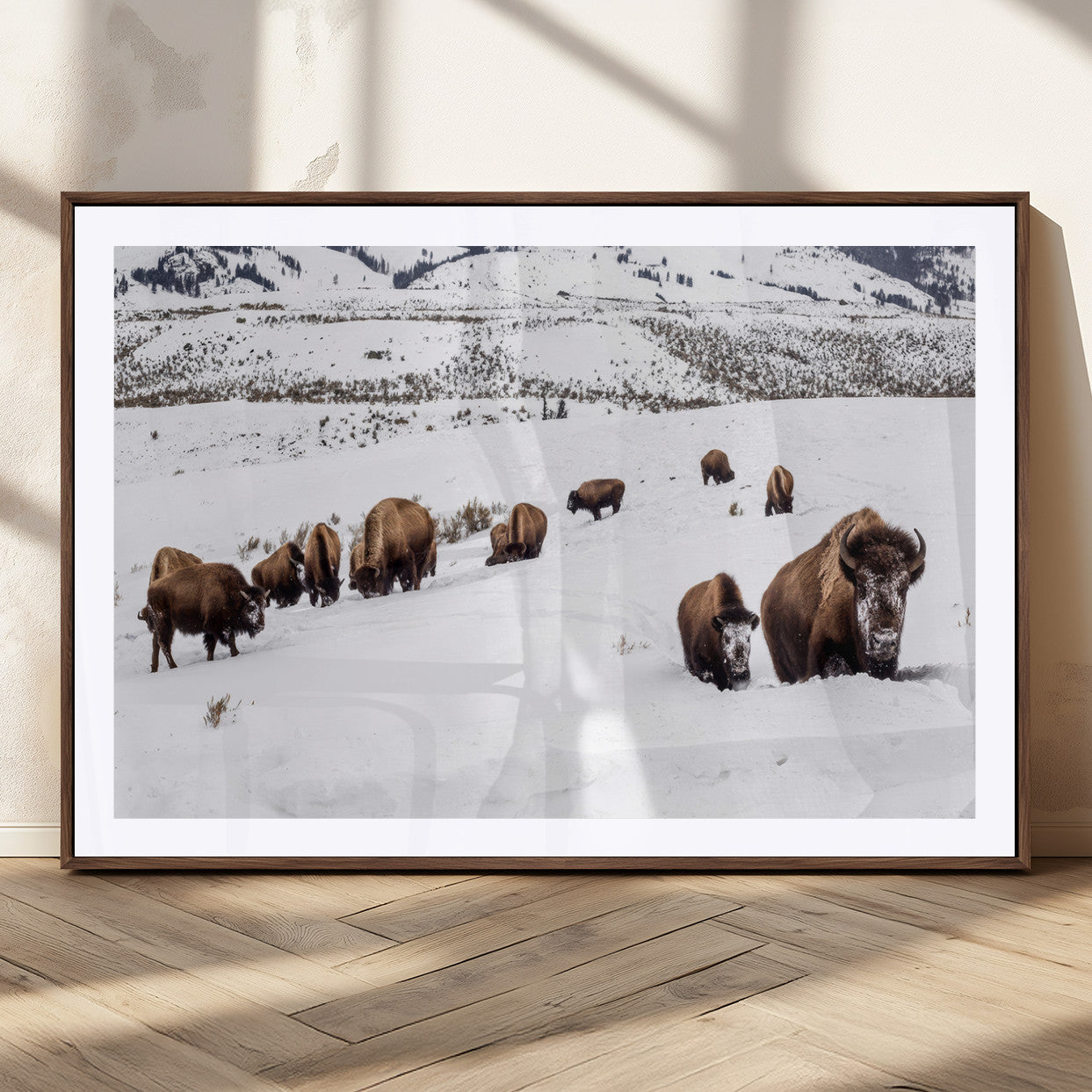 A herd of bison walking through deep snow in a mountain valley, perfect for rustic, cabin or western-themed wall decor.
