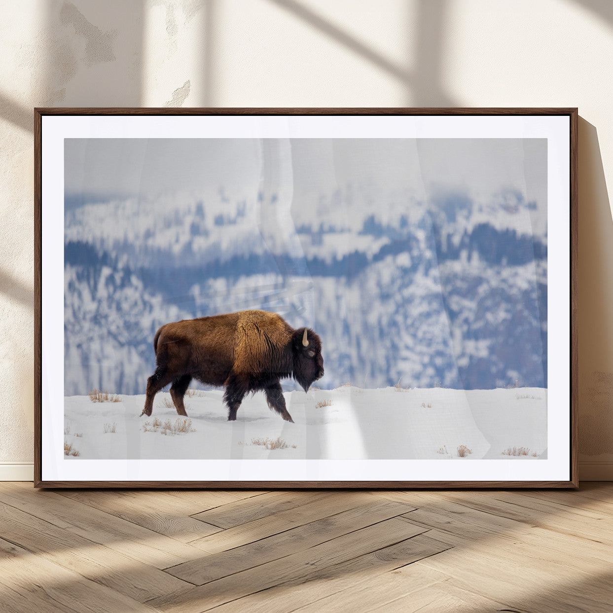 A lone bison walks across snowy ground with blue-toned mountain range behind, ideal for rustic or western farmhouse interiors.