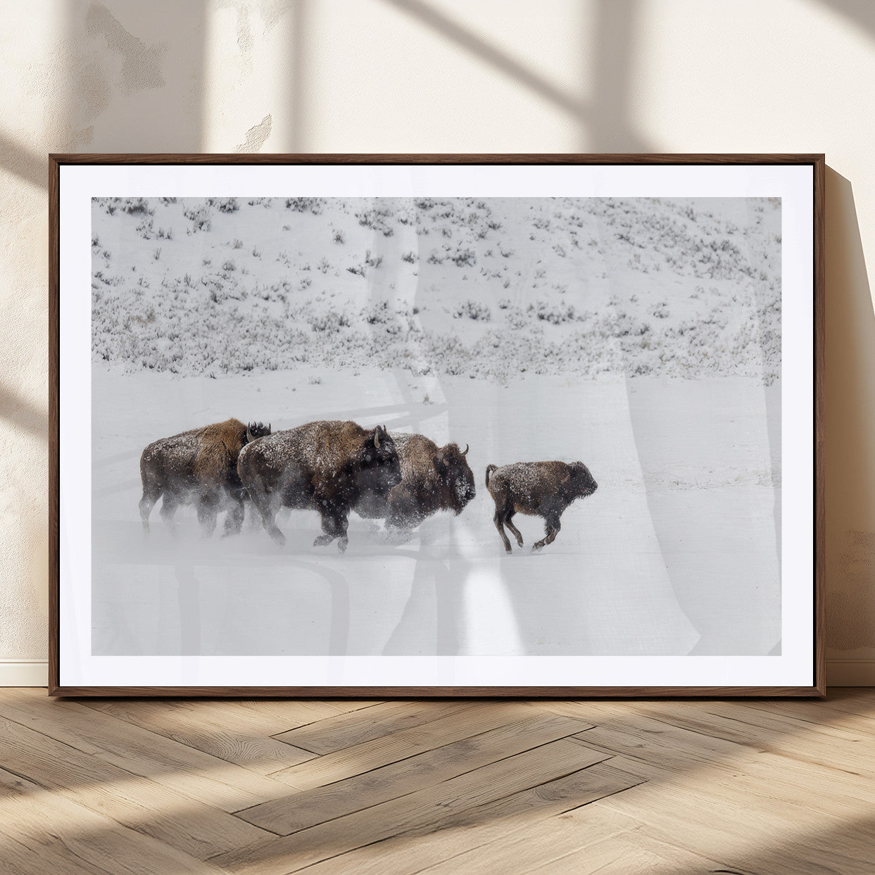 Bison herd running through a snowy open field with mountain backdrop, perfect for rustic or western-themed wall decoration.