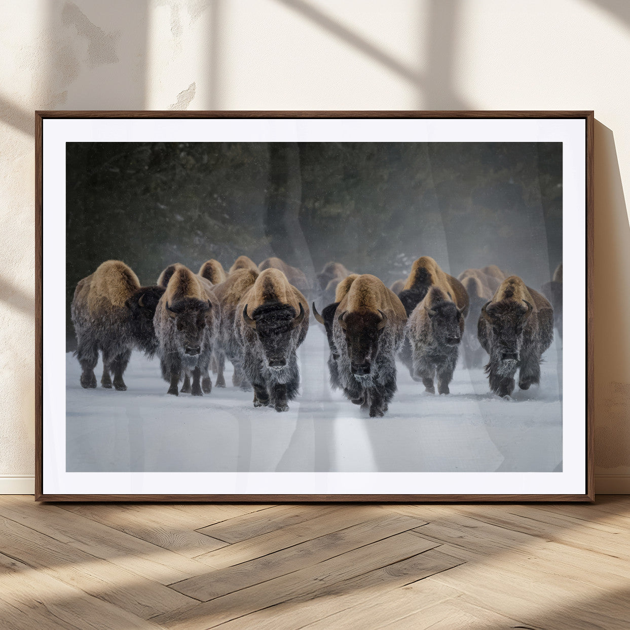 A herd of American bisons walking through deep snow in a forest, evoking a powerful rustic wilderness mood for western-style interiors.