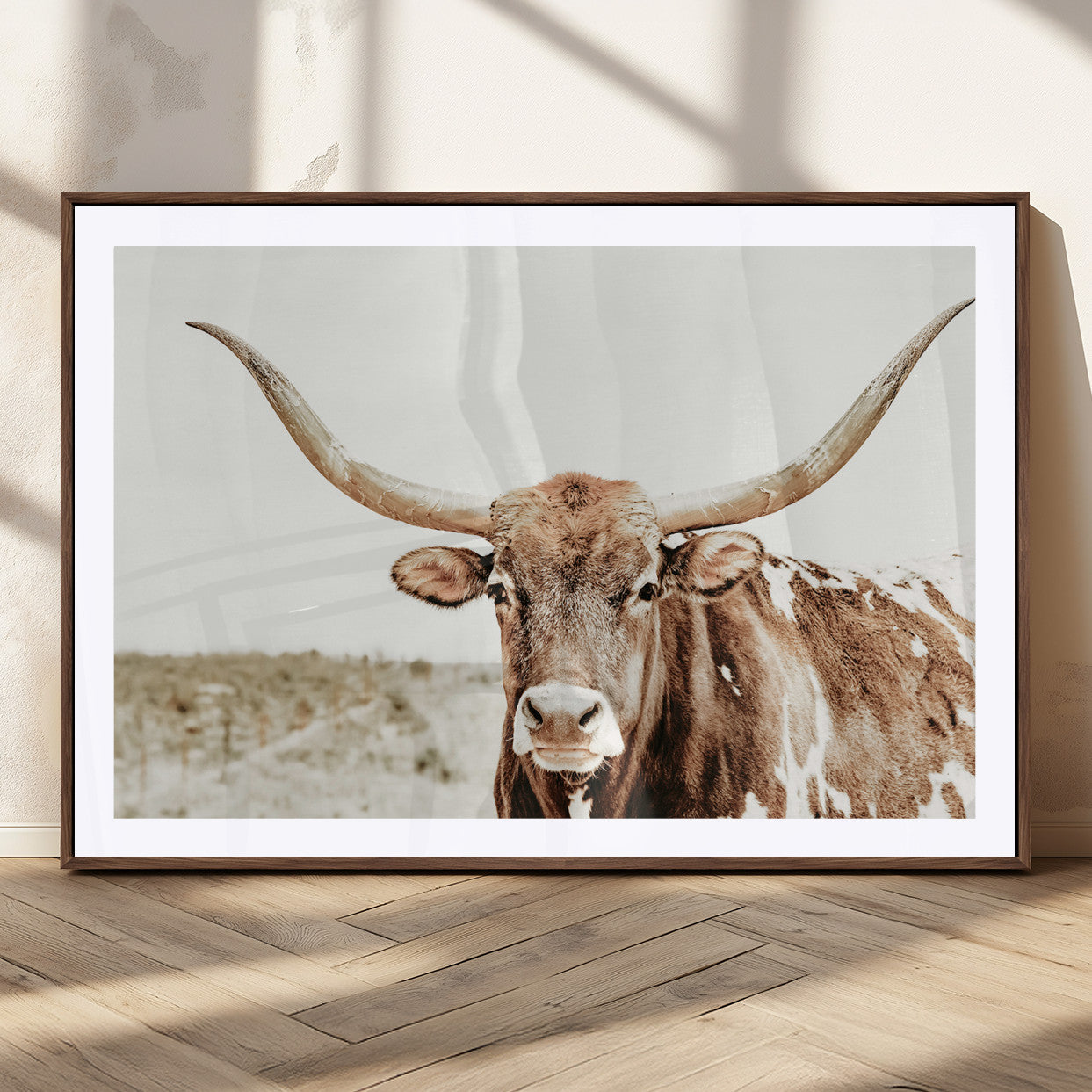 A Texas longhorn bull with wide horns, standing in a dry field under soft light, ideal for rustic farmhouse or western-themed interiors.
