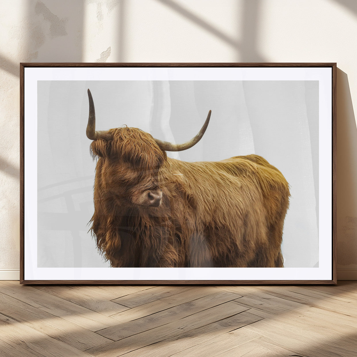 A highland cow with long horns and shaggy fur standing calmly, isolated on white background, ideal for rustic or farmhouse wall decor.