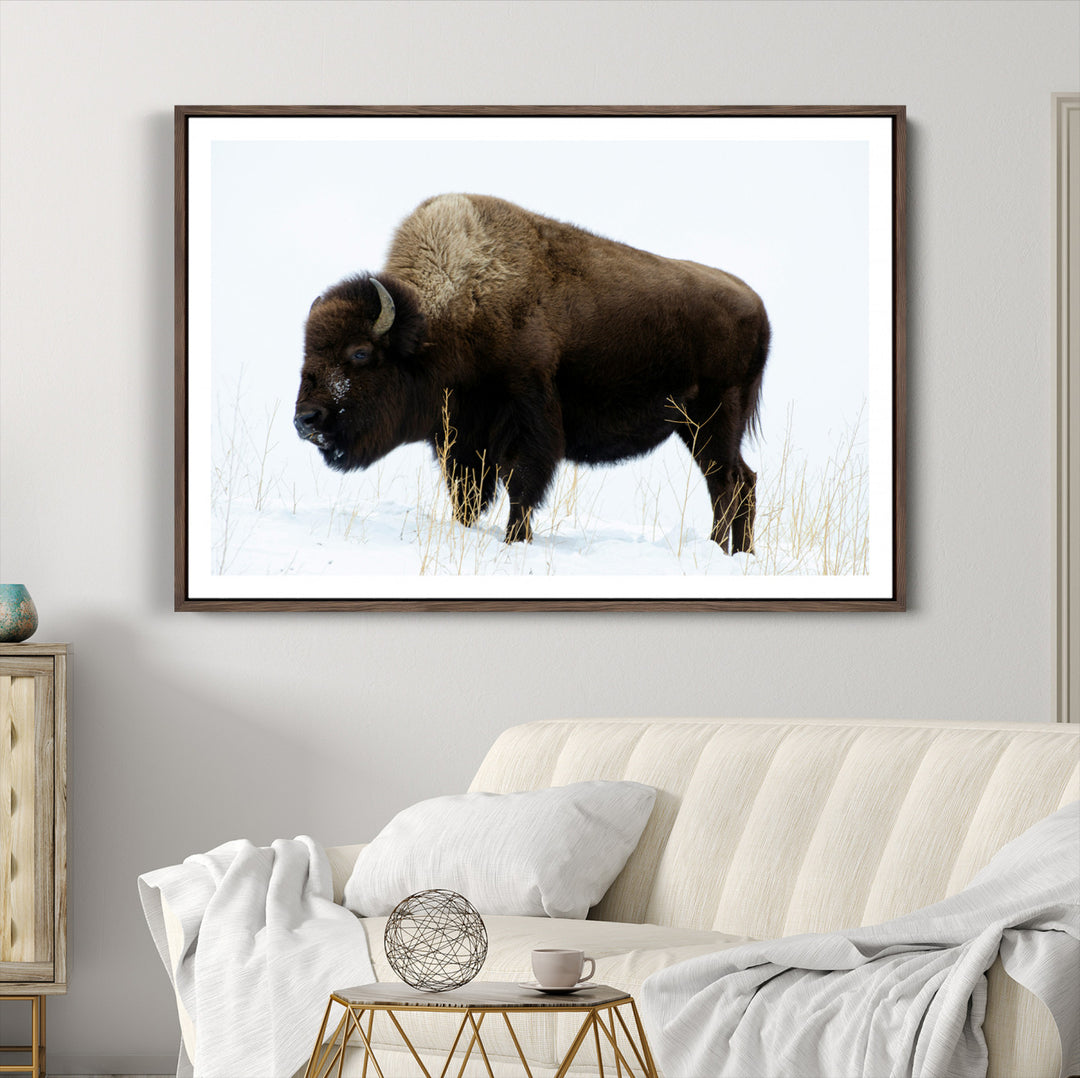 Bison Photography Wall Art Canvas Print, Framed Western Wildlife Art Picture Print, Buffalo On Snow Perfect Western Decor Artwork