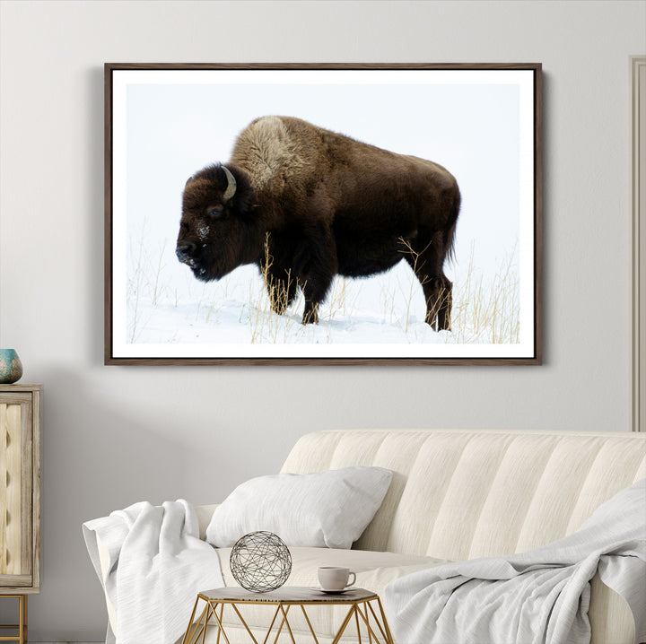 Bison Photography Wall Art Canvas Print, Framed Western Wildlife Art Picture Print, Buffalo On Snow Perfect Western Decor Artwork