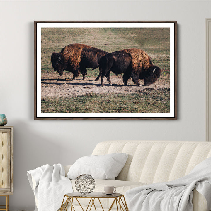 Bison Photography Wall Art Canvas Print, Framed Western Wildlife Art Picture Print, Modern Ranch Perfect Western Rustic Decor Artwork
