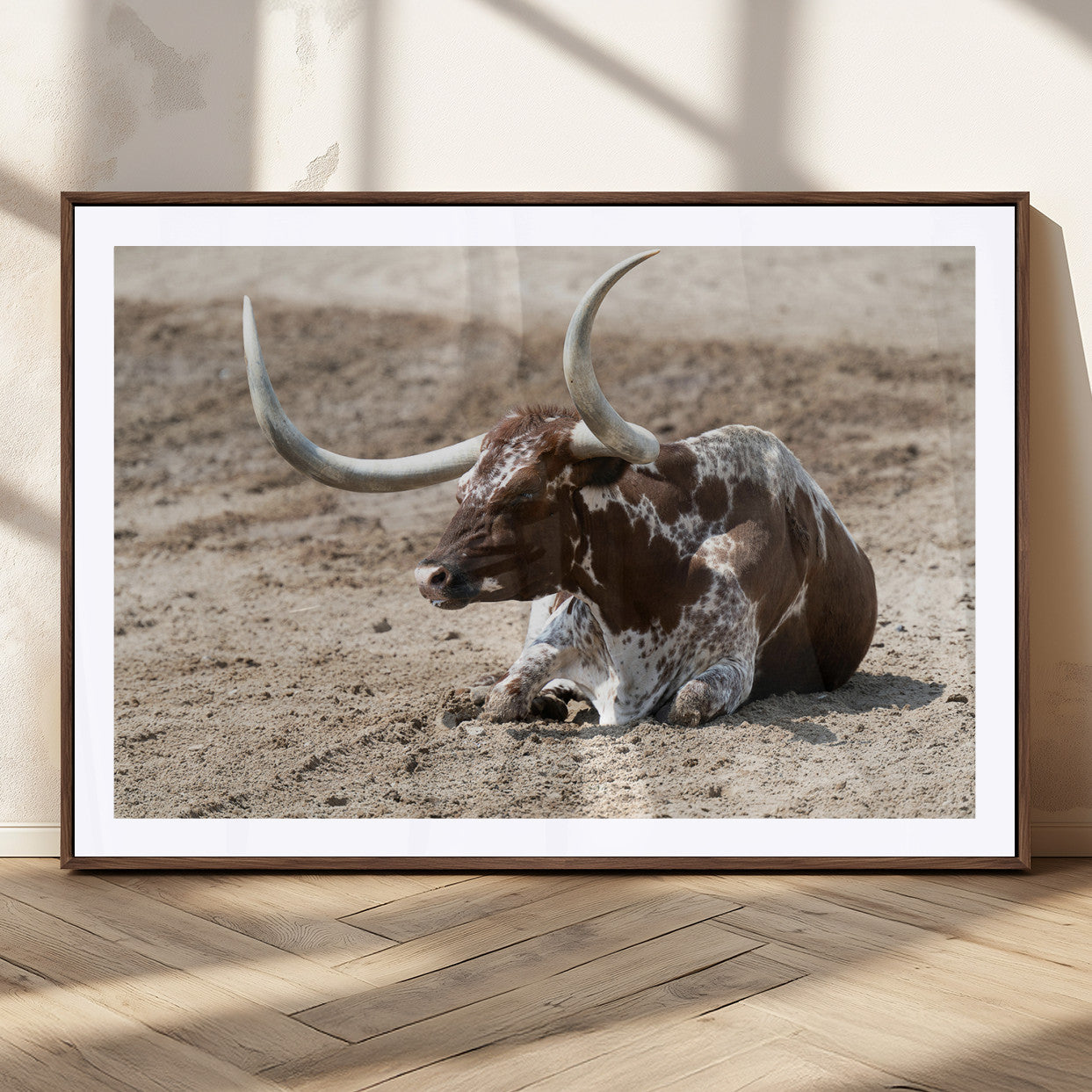 Texas Longhorn resting on sandy ground with large curved horns, capturing a rustic Western aesthetic perfect for farmhouse-style wall art.