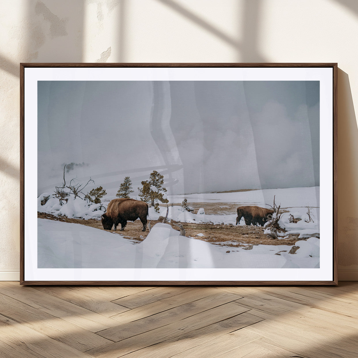 Two bison grazing in a snowy open landscape with misty hills in the background, creating a peaceful and rustic winter scene.