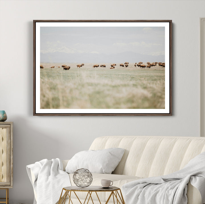 Bison Herd Wall Art Canvas Print, Framed Western Art Picture Print, Bison Perfect Ranch Decor Artwork