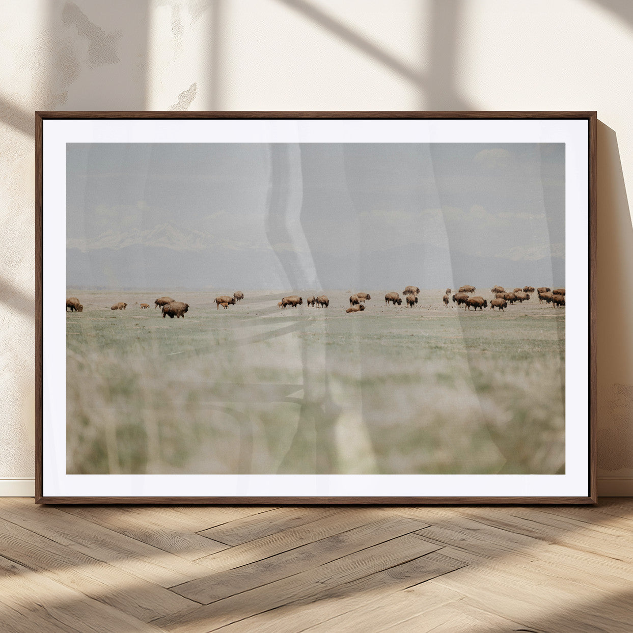 A herd of bison grazing in an open prairie with distant mountains under a soft sky, creating a serene and rustic Western landscape.