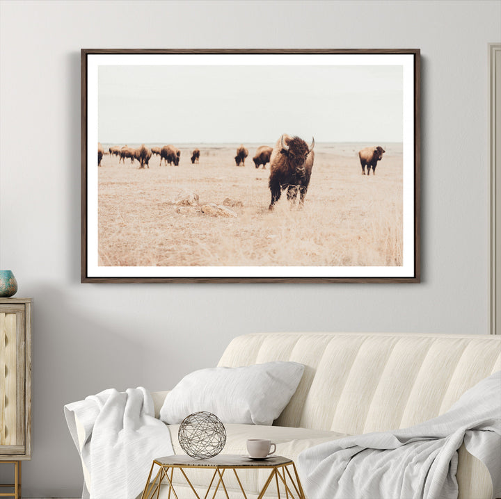 Bison Herd Wall Art Canvas Print, Framed Western Art Picture Print, Prairie Serenity Perfect Ranch Decor Artwork
