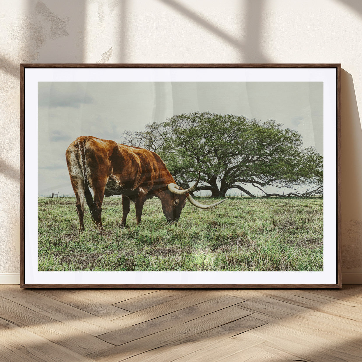 A Texas Longhorn grazing in a green pasture with a large tree in the background, evoking a rustic Western and farmhouse aesthetic.
