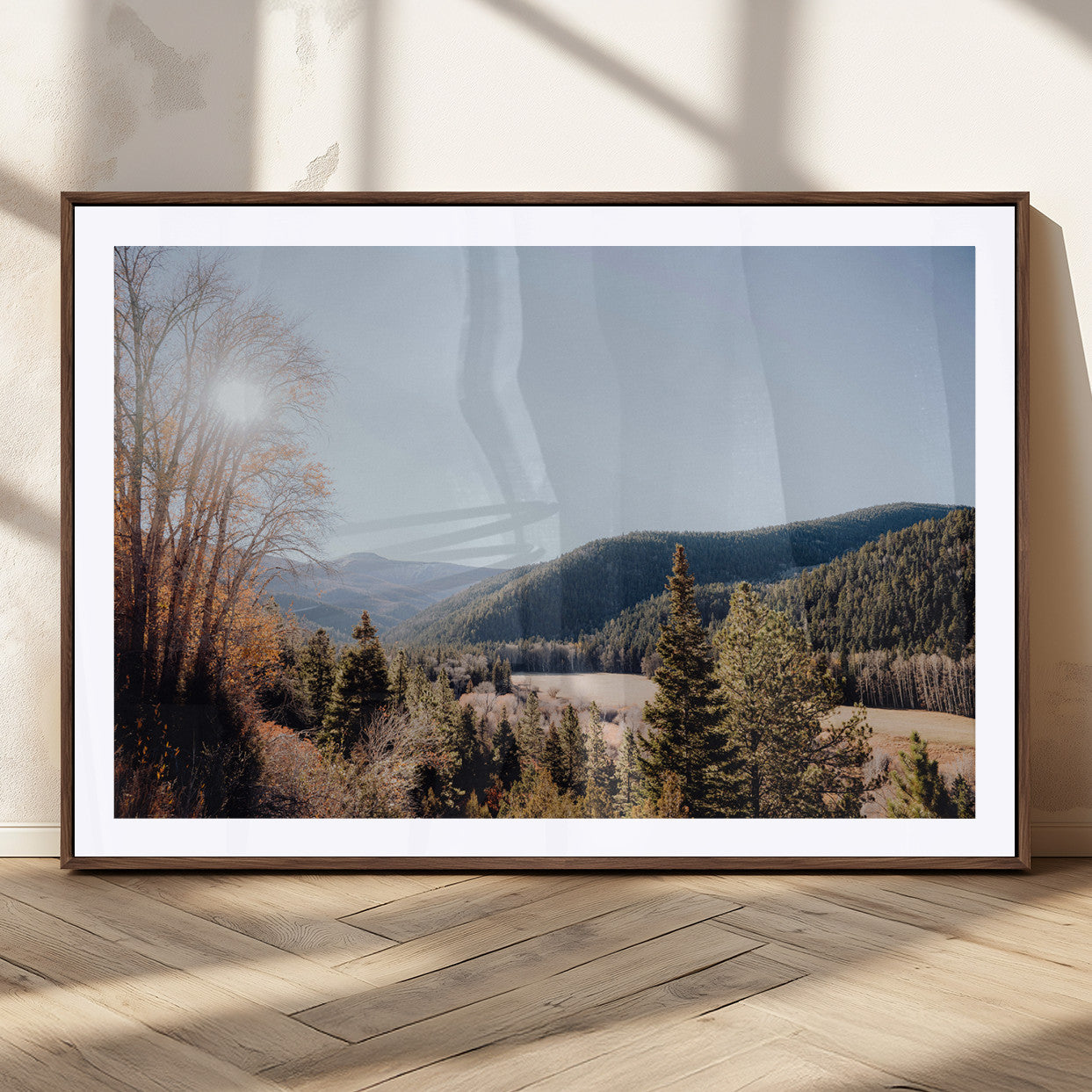 A scenic mountain valley with pine trees and autumn foliage under a clear sky, bathed in golden sunlight, creating a peaceful and rustic landscape.