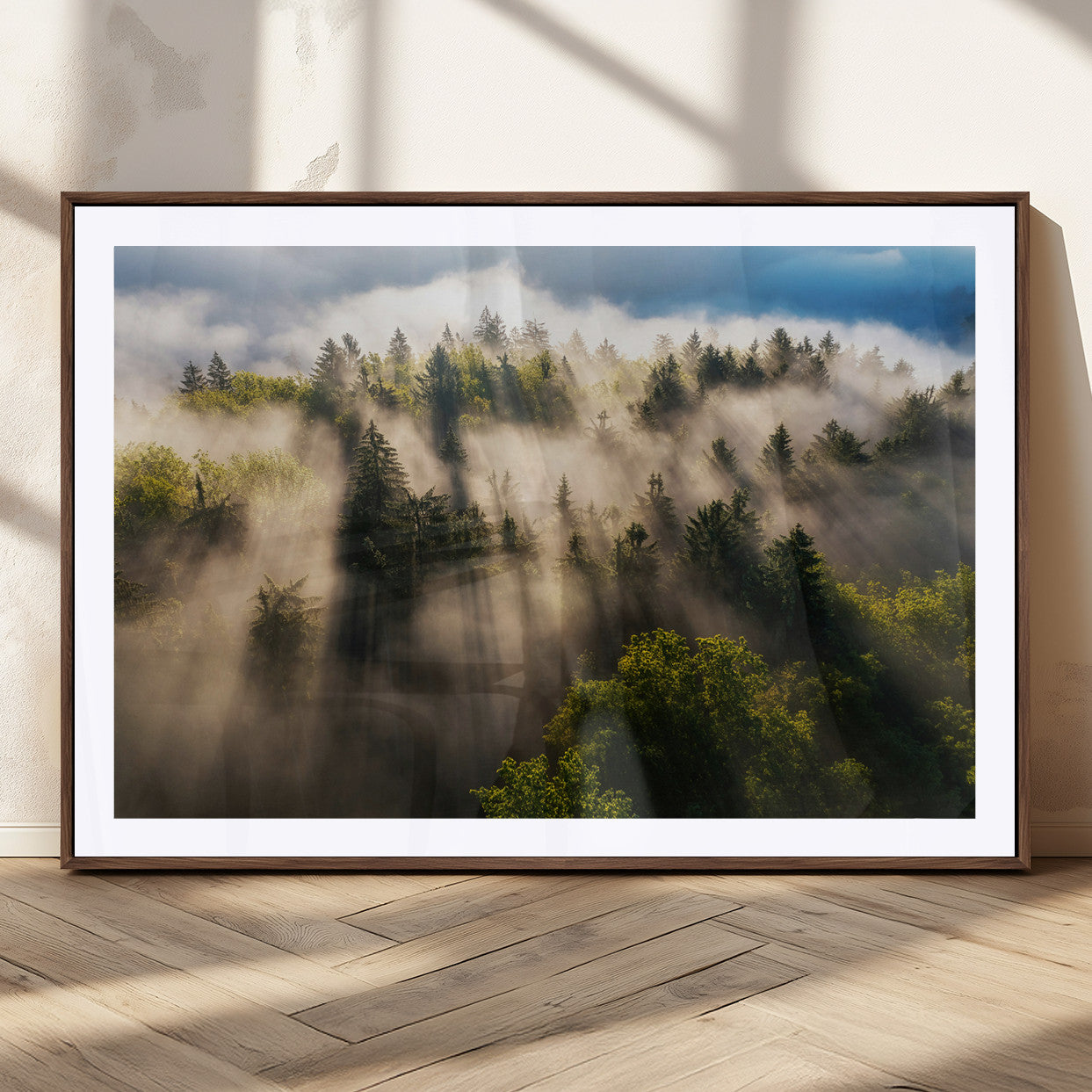Sunlight streaming through misty pine trees in a lush green forest, creating a serene and atmospheric landscape, perfect for nature-inspired decor.