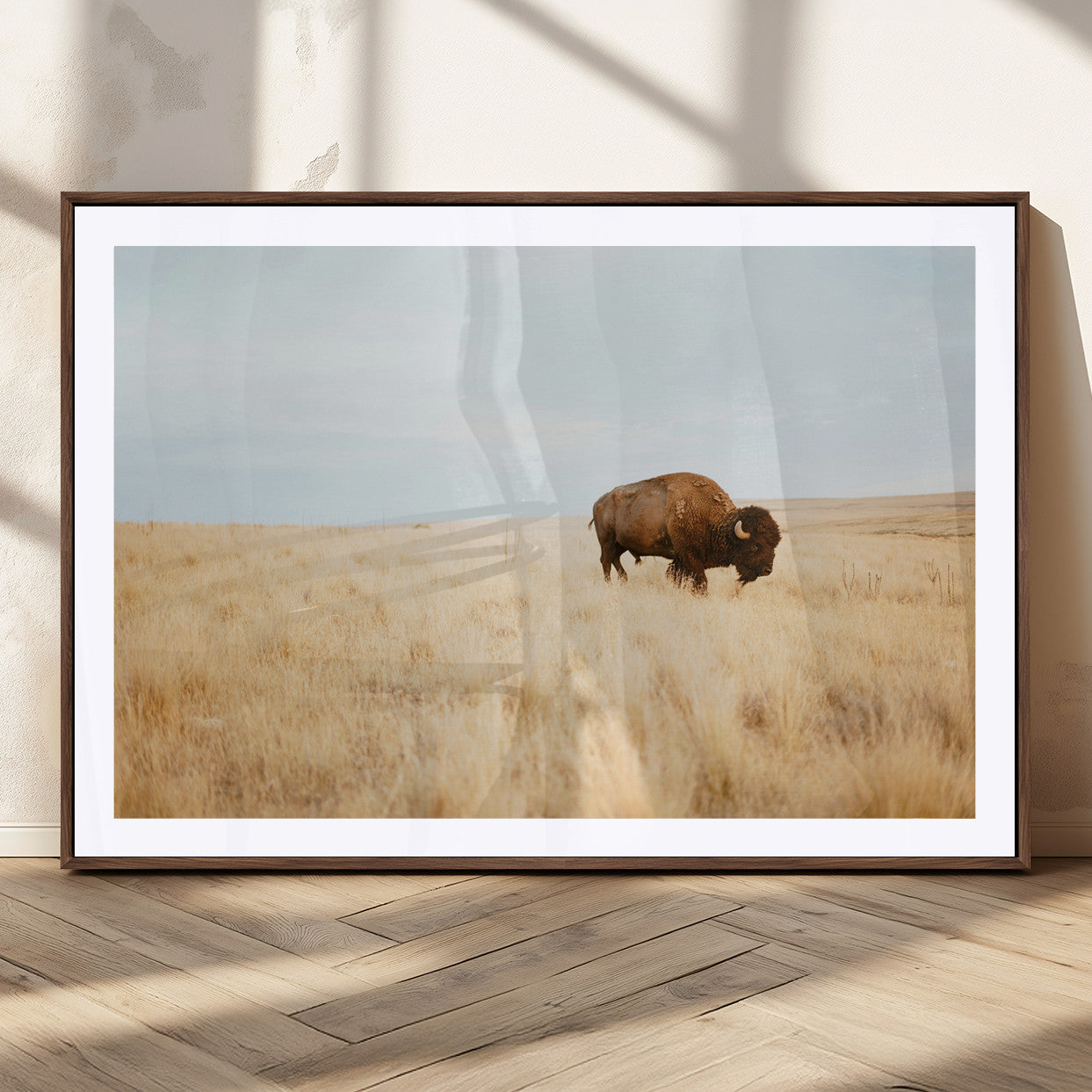 A lone bison standing in a vast golden grassland under a soft blue sky, evoking a rustic and Western aesthetic, ideal for farmhouse decor.