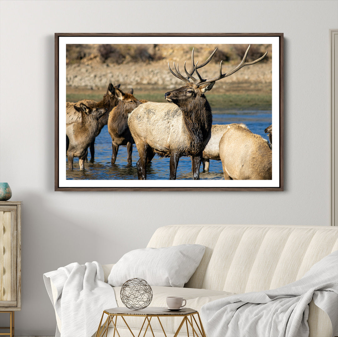 Wild Elk Photography Wall Art Canvas Print, Framed Neutral Wildlife Scene Art Picture Print, Rustic Animal Print Perfect Rustic Farmhouse