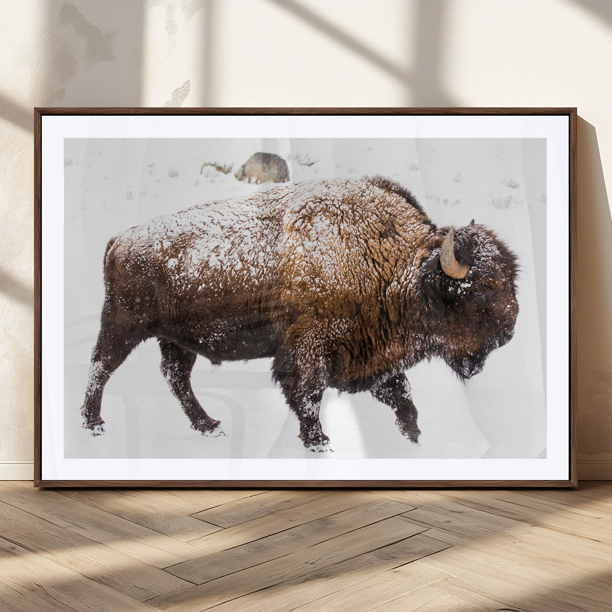 Side profile of a powerful bison walking through deep snow, with frost-covered fur and a white winter background, perfect for rustic and western decor.