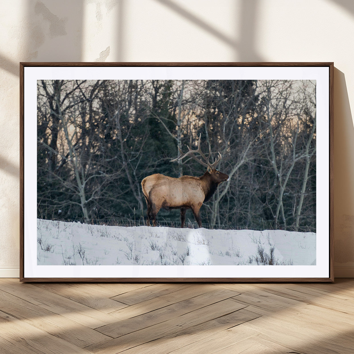 A majestic elk with large antlers standing in a snowy field against a winter forest backdrop, perfect for rustic and wildlife-themed home decor.