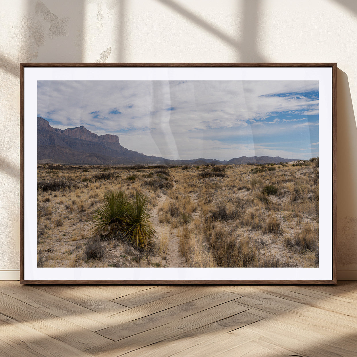 A scenic desert landscape with dry grasses, scattered shrubs, and a distant mountain range under a partly cloudy blue sky.
