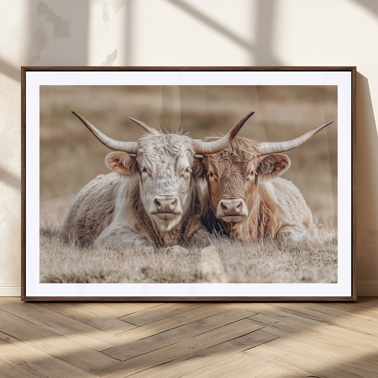 Two Highland cows with long horns lying side by side on a grassy field, featuring soft natural tones and a calm rural setting.