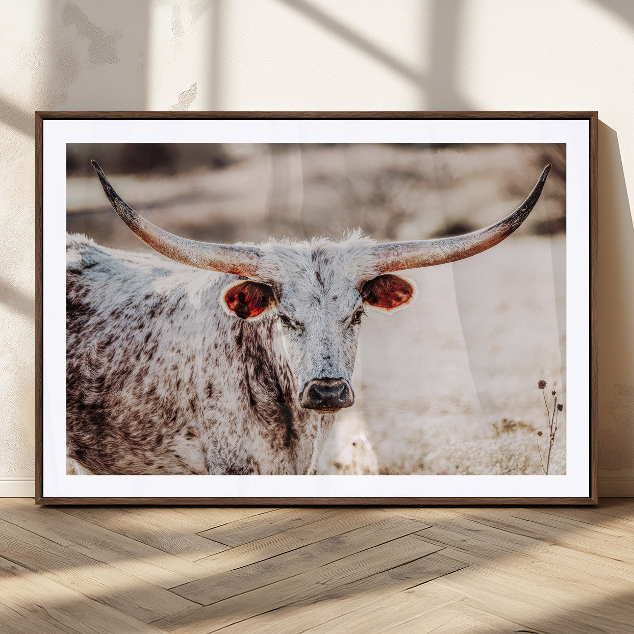 Close-up photograph of a white and brown speckled longhorn cow with very large, curved horns standing in a sunlit field with dry grass and blurred background.