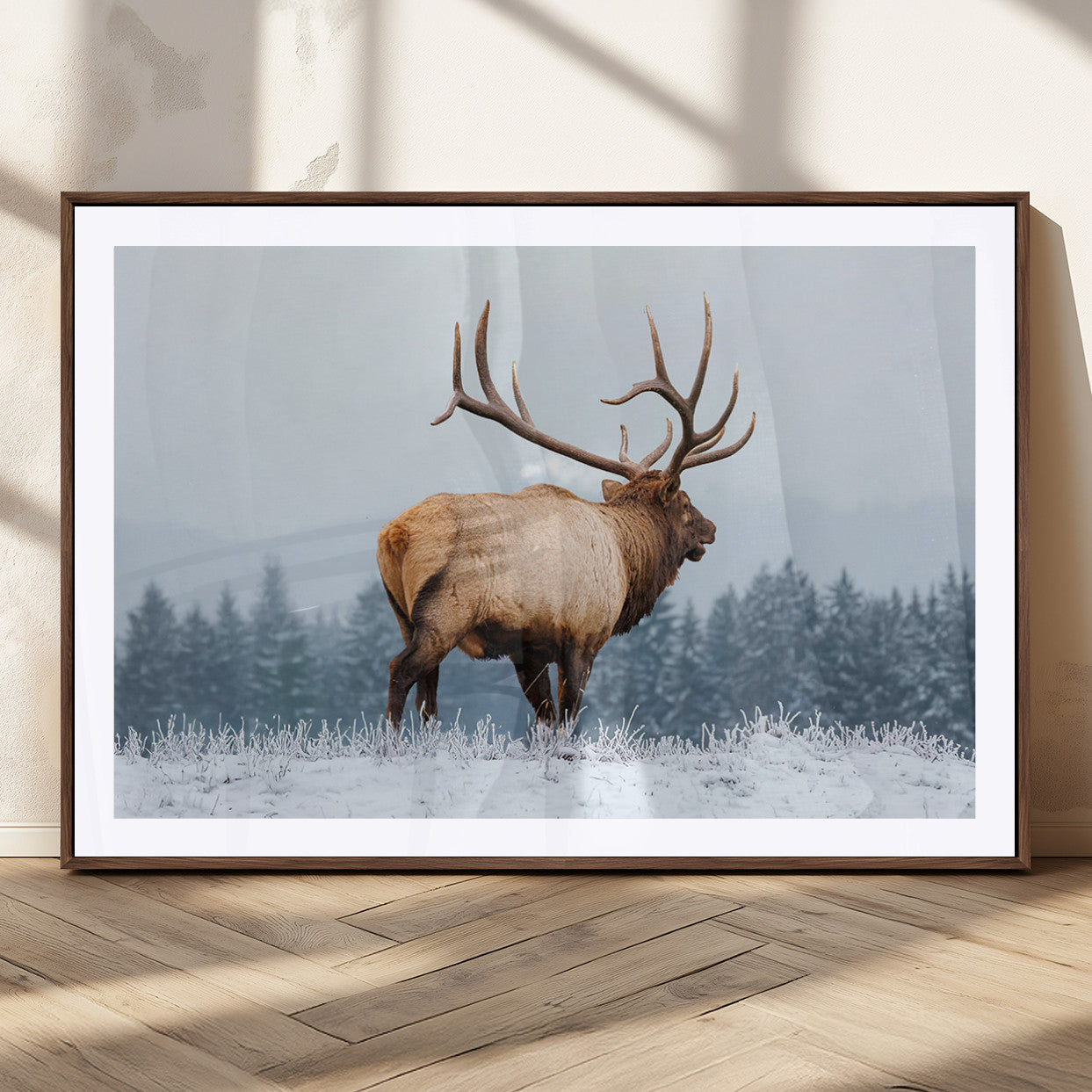 A majestic elk standing in a snowy landscape, with large antlers, set against a backdrop of evergreen trees and a soft winter sky.