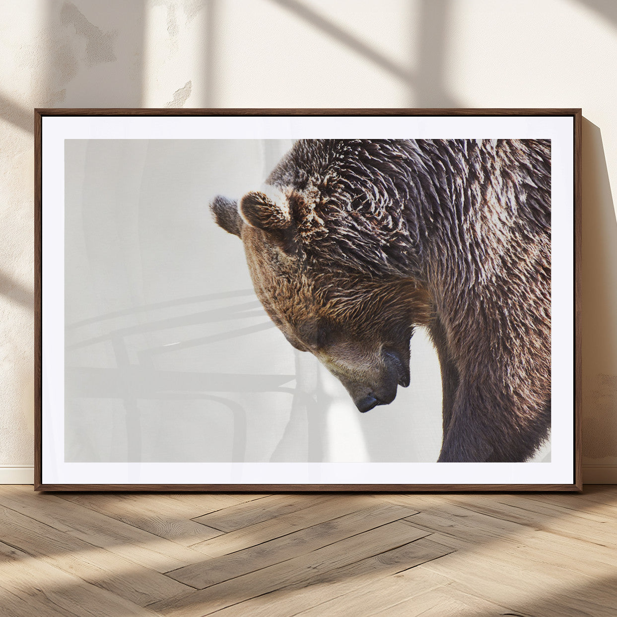 Majestic Bear Portrait - Capture the raw beauty of a bear in a detailed close-up, perfect for your Wall Art Canvas Print collection
