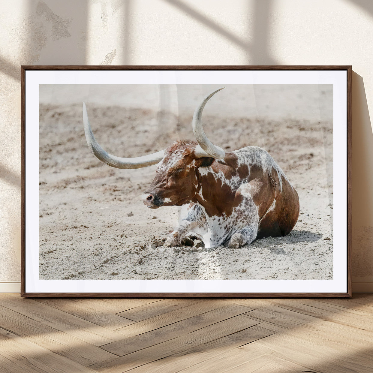MGC-FP-36x24 - Majestic Longhorn Resting on Sunlit Desert Ground – Striking Western-Themed Wall Art Canvas Print