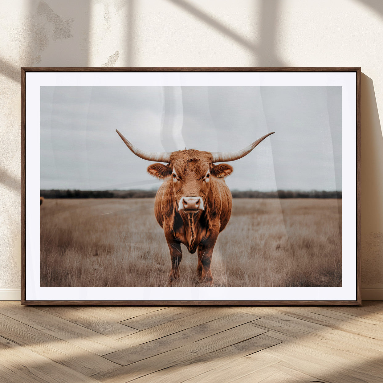 MGC-FP-36x24 - Longhorn bull, open field, rustic charm, natural beauty, Wall Art Canvas Print, countryside,